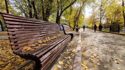 , фото - Новости Zakon.kz от 02.10.2025 14:38