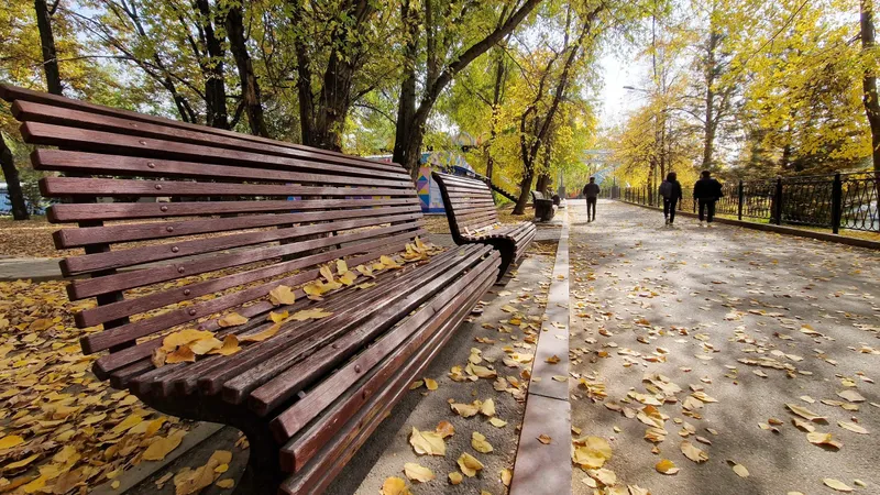 Осень, осенняя погода, желтые листья, листопад, осенний сезон, осенний парк, парк осенью, фото - Новости Zakon.kz от 01.10.2025 08:32