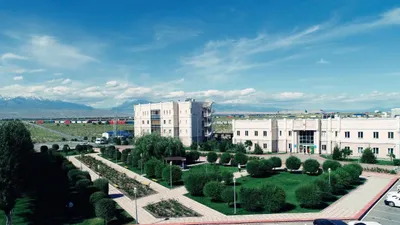 СЭЗ Хоргос-Восточные ворота, фото - Новости Zakon.kz от 09.09.2025 09:09