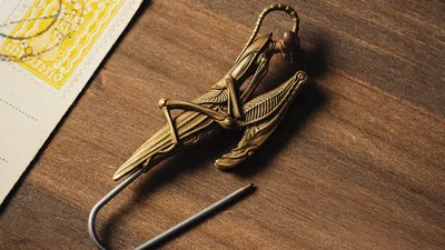 Брошь, саранча, стол, фото - Новости Zakon.kz от 11.09.2025 04:20