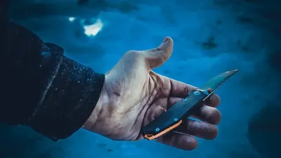 подросток с ножом ворвался в лицей во Франции, фото - Новости Zakon.kz от 10.09.2025 19:32