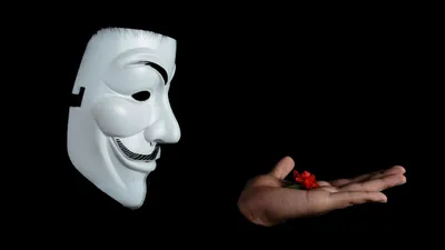 Аноним, цветы, рука, фото - Новости Zakon.kz от 11.09.2025 05:40