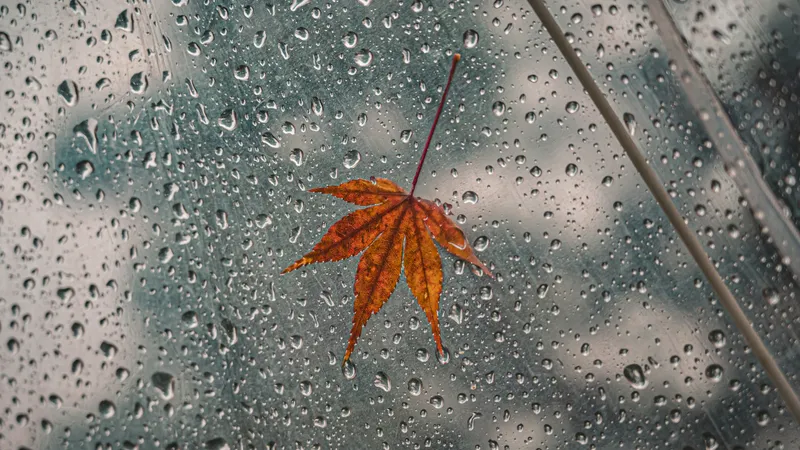 Дождями зальет почти весь Казахстан: прогноз погоды на 11 сентября