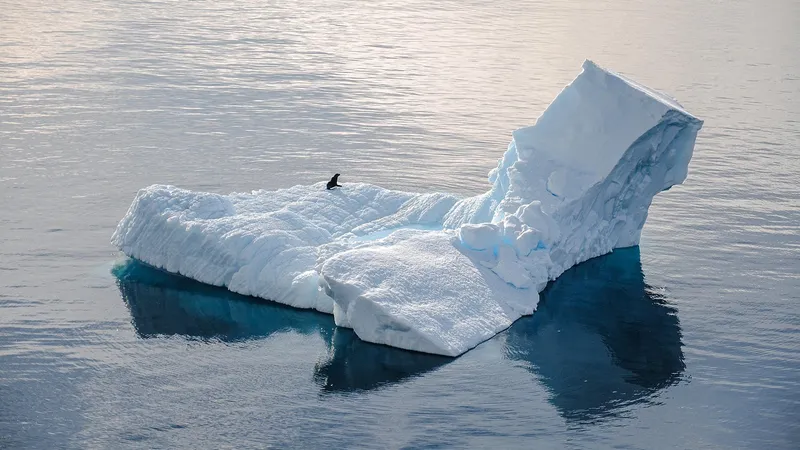 Ученые сделали в Антарктиде впечатляющее открытие