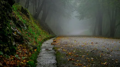 , фото - Новости Zakon.kz от 11.09.2025 16:35