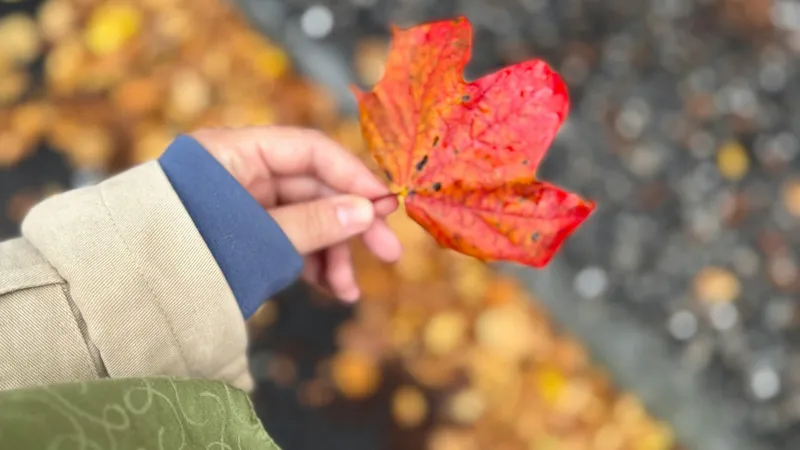 11 сентября – Иван Постный: строгие запреты и почему нельзя носить красное