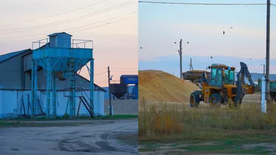 агрофирма, трактор, зерно, фото - Новости Zakon.kz от 11.09.2025 15:52