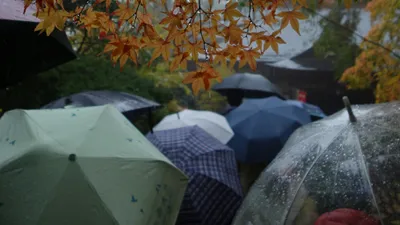 , фото - Новости Zakon.kz от 12.09.2025 11:07