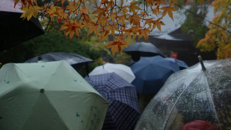 Дожди с грозами обрушатся на Астану и Алматы, а в Шымкенте будет жарко до +34°С