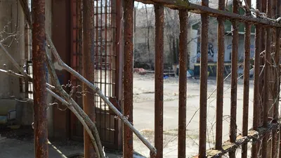 Убийца Джона Леннона 70-летний Марк Чепмен предпринял попытку выйти на свободу, фото - Новости Zakon.kz от 12.09.2025 08:50