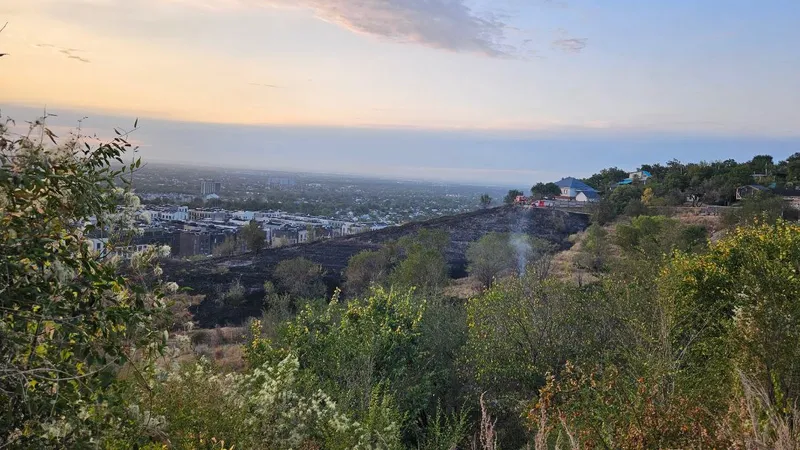 Жилые дома удалось отстоять при пожаре в горах у ВОАД в Алматы