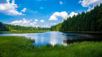 , фото - Новости Zakon.kz от 08.10.2025 09:27