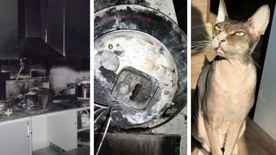 пожар, фото - Новости Zakon.kz от 13.09.2025 09:48