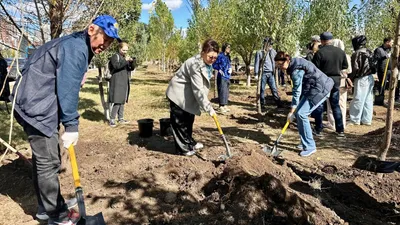 субботник, фото - Новости Zakon.kz от 13.09.2025 16:38