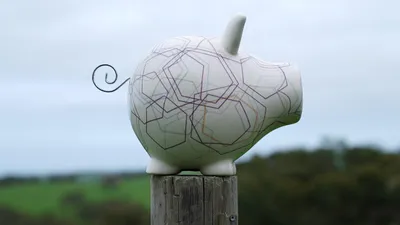 Природа, копилка, забор, фото - Новости Zakon.kz от 13.09.2025 08:20