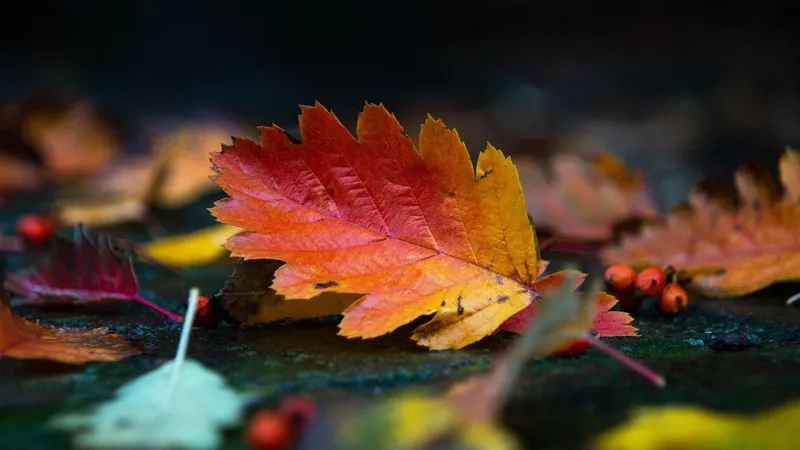 Как пережить осеннюю хандру