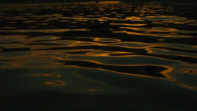 Золото, вода, океан, фото - Новости Zakon.kz от 15.09.2025 06:40