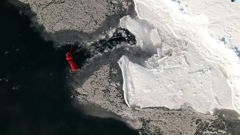 Ученые обнаружили живое "нечто" подо льдом Арктики