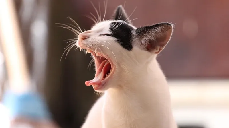 Гороскоп на 14 сентября: день непрошенных гостей