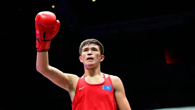 боксер, фото - Новости Zakon.kz от 14.09.2025 12:01