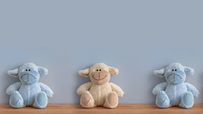 Видео KFC , фото - Новости Zakon.kz от 14.09.2025 05:55