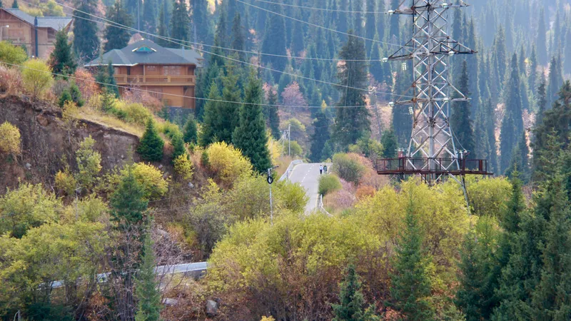 Горы, листья, чай и тишина: заметки с гор Алматы – фоторепортаж
