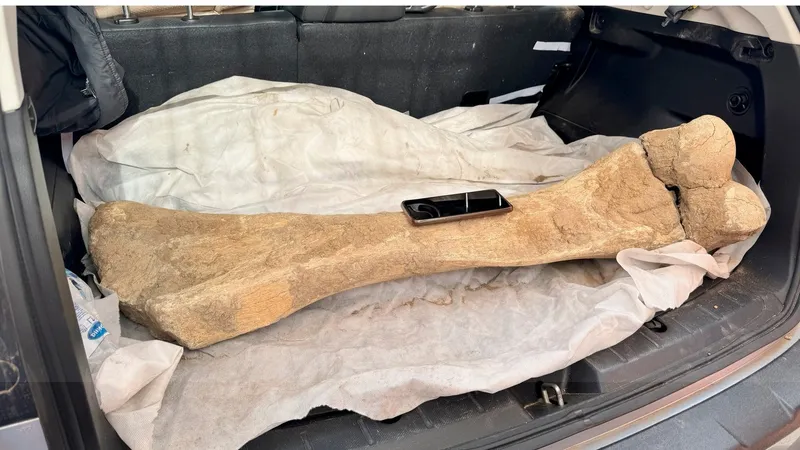 Кость огромного животного возрастом 15 тысяч лет нашли на севере Казахстана