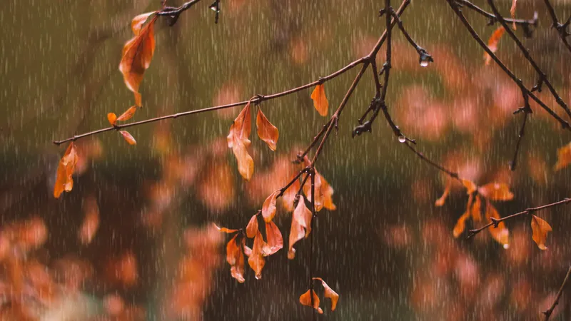 Дожди придут в Астану, Алматы и Шымкент