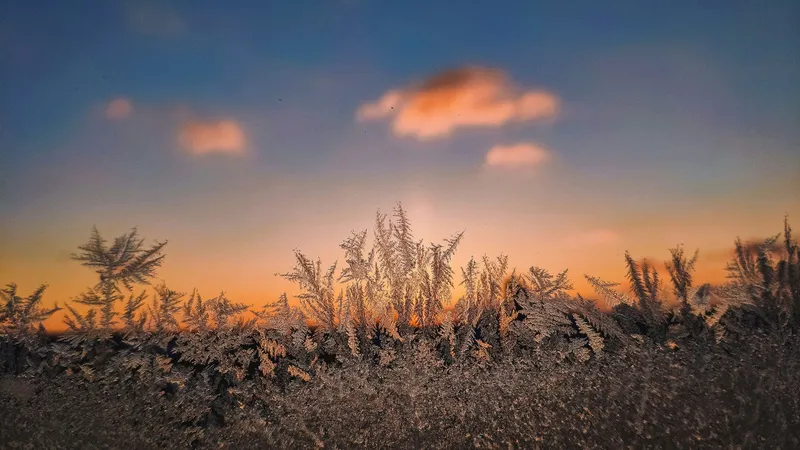 Назван регион Казахстана, в который 17 сентября нагрянут заморозки