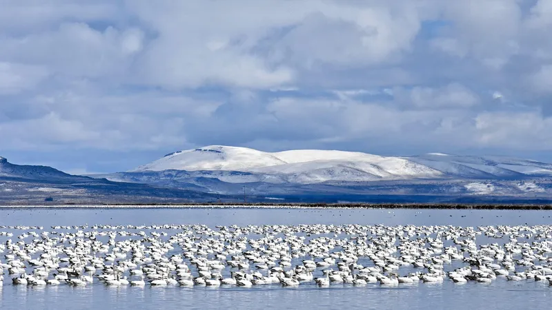 В NASA подтвердили, что летом на Аляске возник новый остров