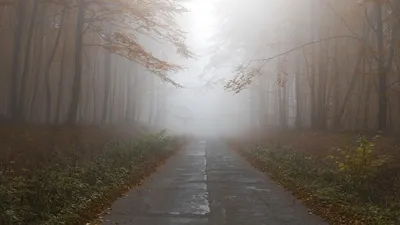 штормовое предупреждение, фото - Новости Zakon.kz от 16.09.2025 19:45