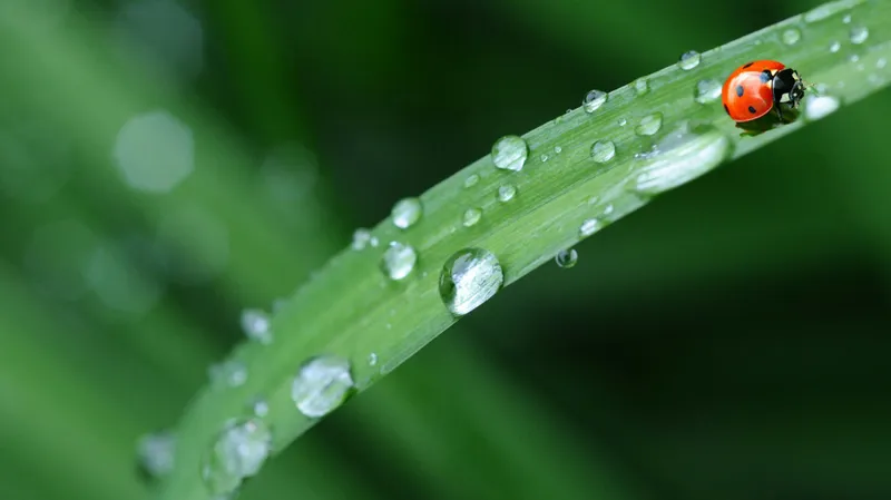 Холодные ночи и грозы: какой будет погода в Астане, Алматы и Шымкенте