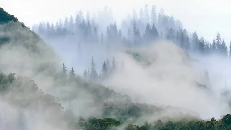 Заморозки, туман и грозы: штормовое предупреждение объявили в 16 областях Казахстана