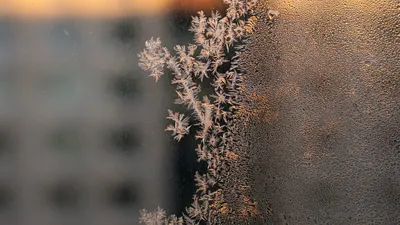 , фото - Новости Zakon.kz от 18.09.2025 18:00