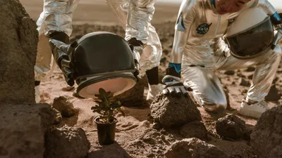 Астронавты, растение, исследование, фото - Новости Zakon.kz от 17.09.2025 08:57