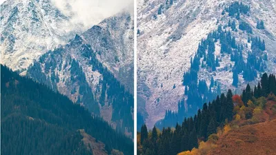 , фото - Новости Zakon.kz от 19.09.2025 11:52