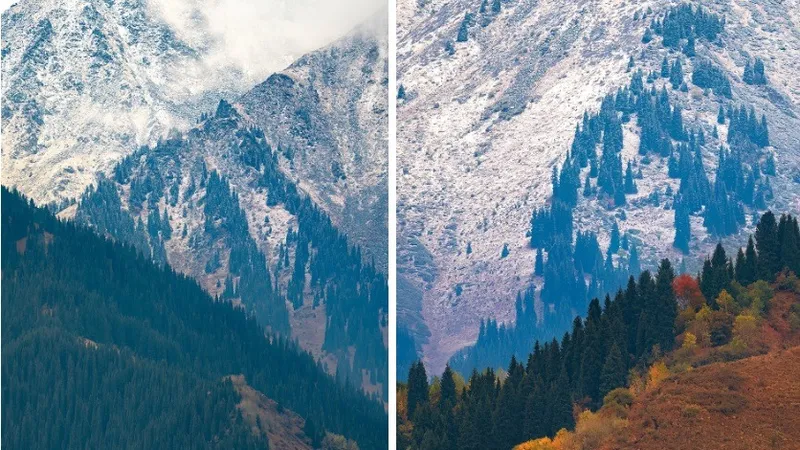 Встретились два времени года: сентябрьский снег в горах Алматы запечатлел фотограф