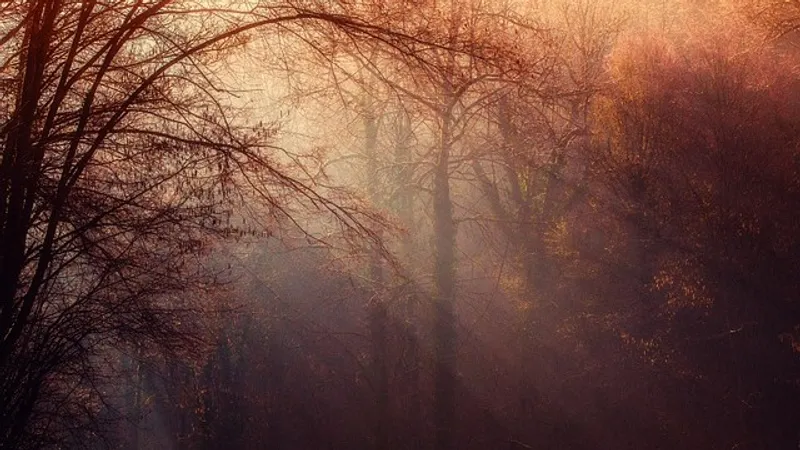 Туман, заморозки и гроза: штормовое предупреждение объявили в Казахстане