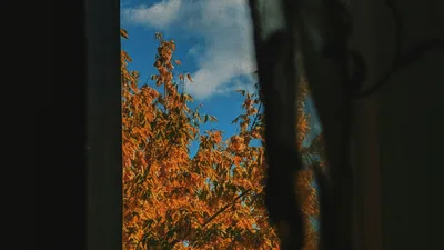 , фото - Новости Zakon.kz от 19.09.2025 17:06