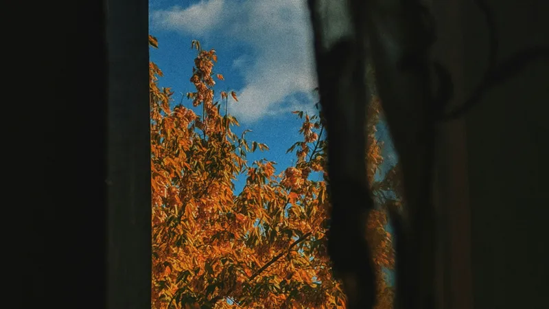 25-градусное тепло вернется в Алматы, а в Астану и Шымкент нагрянут дожди