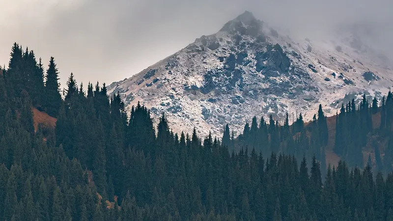 Дожди, снег и заморозки до -3°С: Казахстан ждет непростая погода на выходных