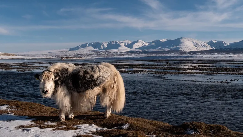 Ученые нашли продукт, который частично "спасает" мозг от алкогольного опьянения
