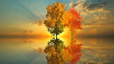 осень, фото - Новости Zakon.kz от 19.09.2025 16:08