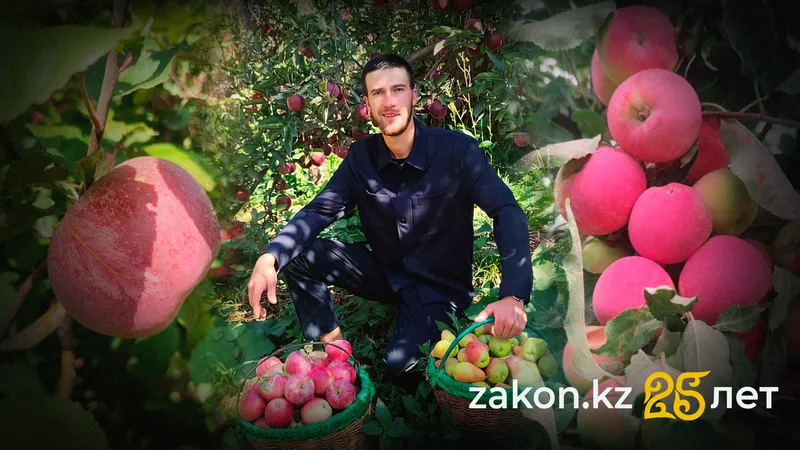 Апорт по наследству: как алматинец ухаживает за 60-летним яблоневым садом