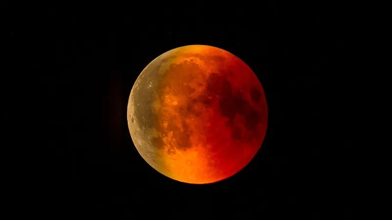 Астрономы выяснили, какая культура способна расти на Луне