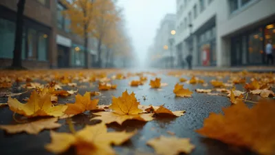 осень, фото - Новости Zakon.kz от 20.09.2025 16:04