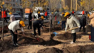 субботник, фото - Новости Zakon.kz от 20.09.2025 11:28