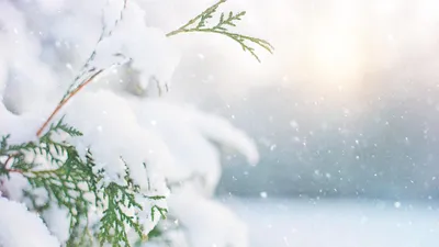 Снег, Россия, осень, сентябрь, Якутск , фото - Новости Zakon.kz от 20.09.2025 21:01