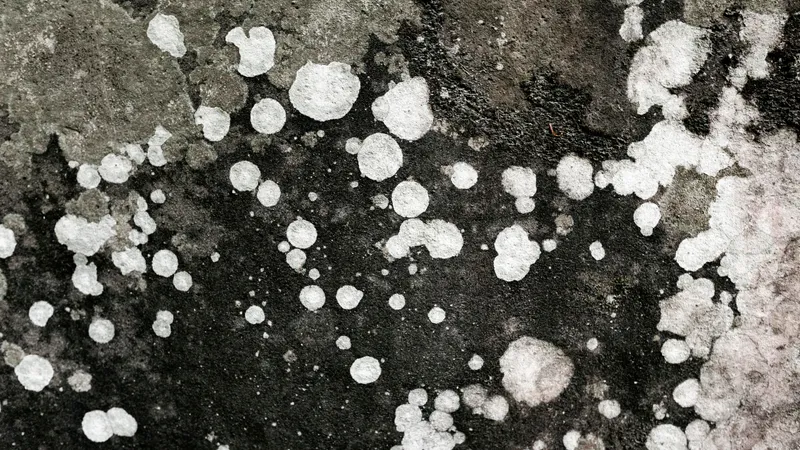 Дожди, град и гроза: синоптики рассказали о погоде на 22 сентября