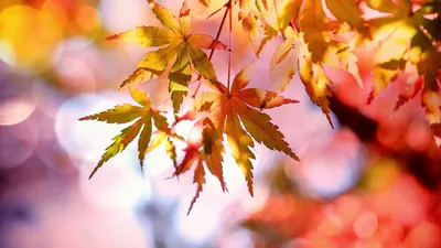 , фото - Новости Zakon.kz от 23.09.2025 16:51